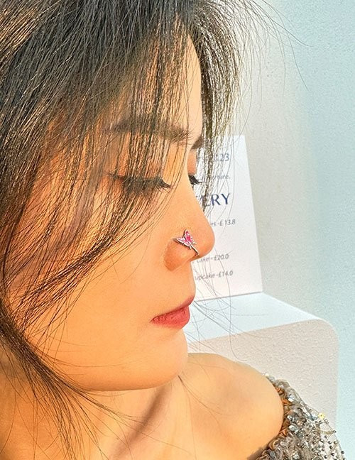 Пирсинг Z59262 Пирсинг Z59262