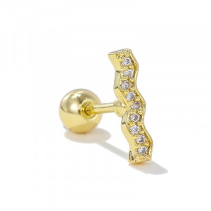 Пирсинг в уши CJE09420 Пирсинг в уши CJE09420