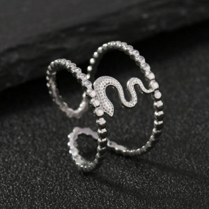 Кольцо сталь CJJ16931 Кольцо сталь CJJ16931