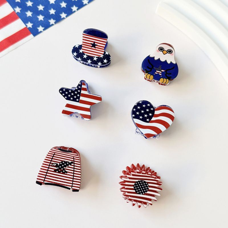 Заколка с флагом США CJW54478