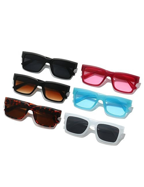 Очки Z31881 Очки Z31881