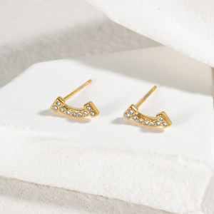 Серьги сталь CJJ26091 Серьги сталь CJJ26091