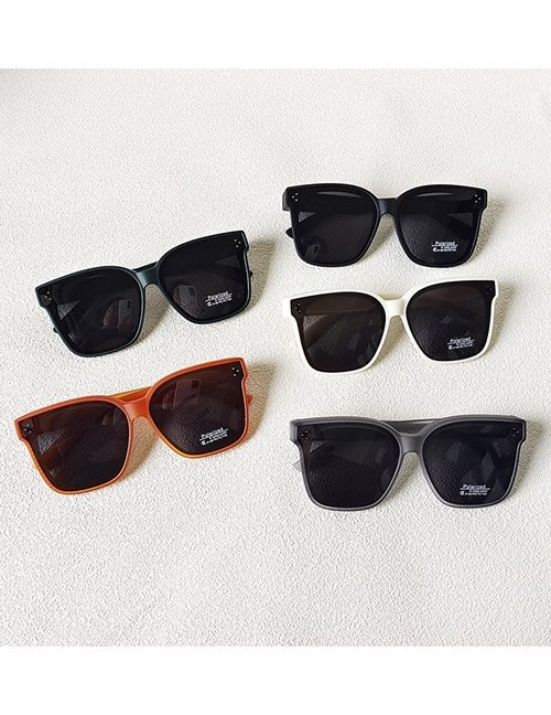 Очки Z60999 Очки Z60999