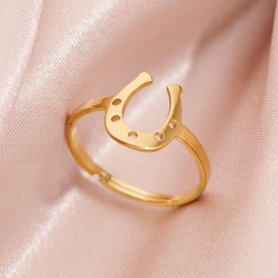 Кольцо сталь CJH62209 Кольцо сталь CJH62209