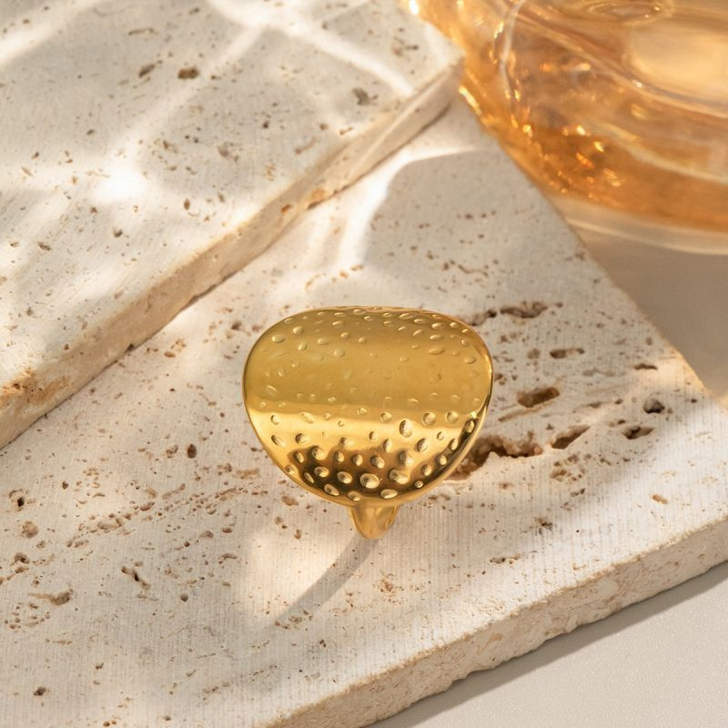 Кольцо сталь CJN49720 Кольцо сталь CJN49720