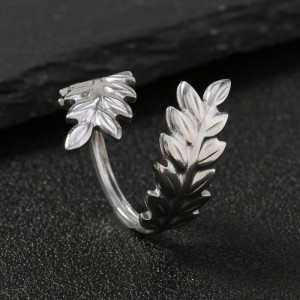 Кольцо сталь CJJ16929