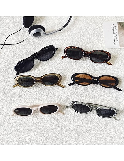 Очки Z61037 Очки Z61037