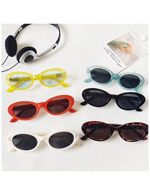 Очки Z61033 Очки Z61033