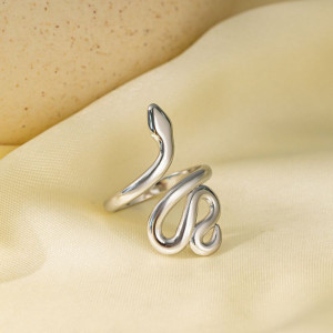 Кольцо сталь CJH16066 Кольцо сталь CJH16066