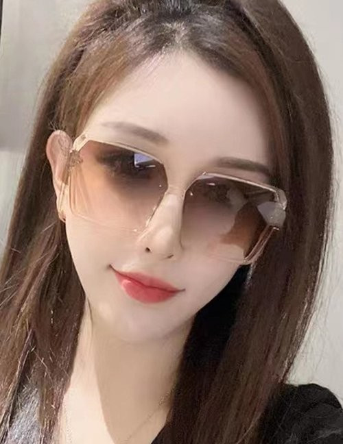 Очки Z10205 Очки Z10205