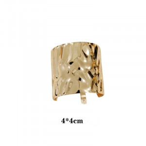 Заколка для волос CJL08758