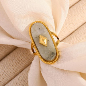 Кольцо сталь CJL49864 Кольцо сталь CJL49864