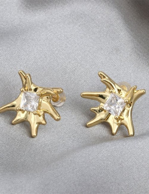 Ювелирные серьги Z98553 Ювелирные серьги Z98553