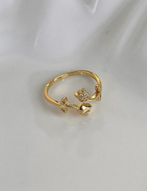 Ювелирное кольцо Z02002 Ювелирное кольцо Z02002