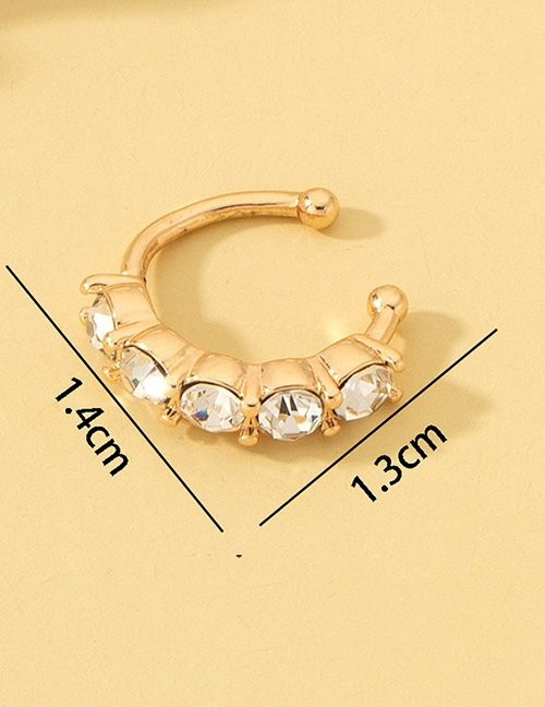 Пирсинг Z63393 Пирсинг Z63393