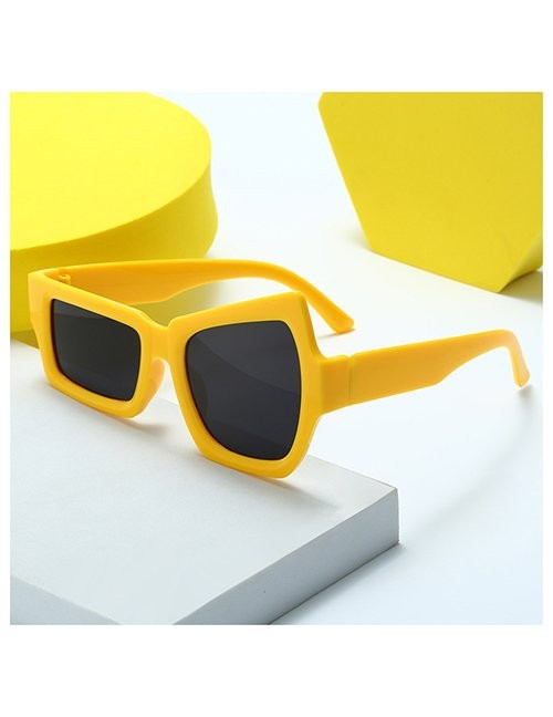 Очки Z10111 Очки Z10111