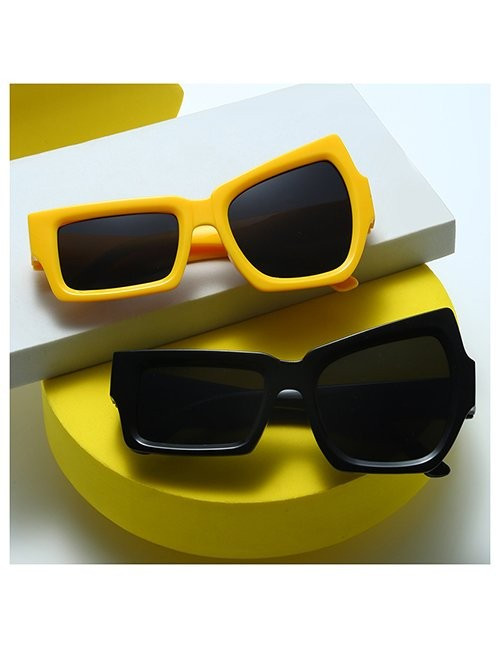 Очки Z10111 Очки Z10111