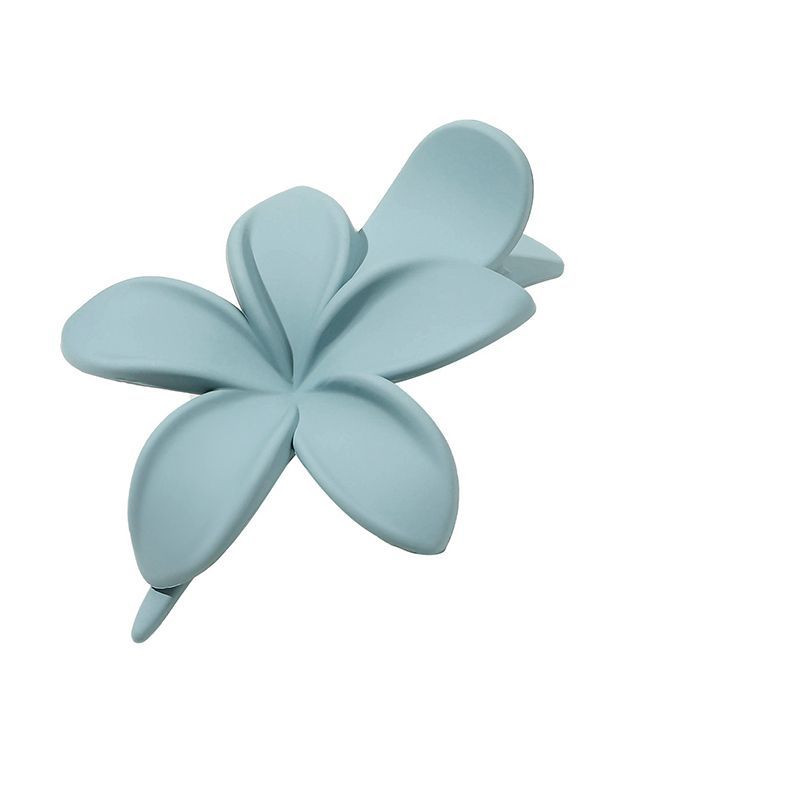 Заколка для волос CJH37526