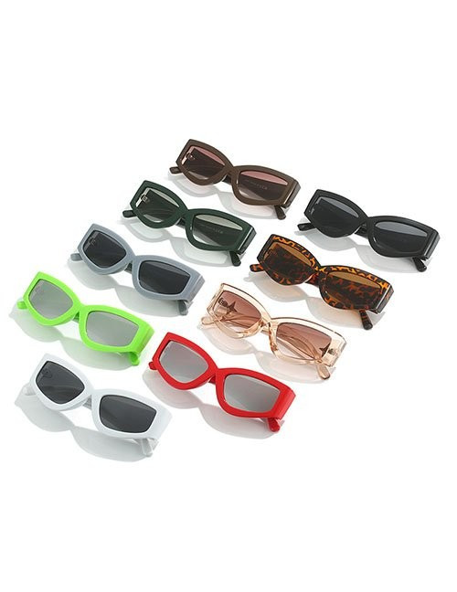 Очки Z32030 Очки Z32030