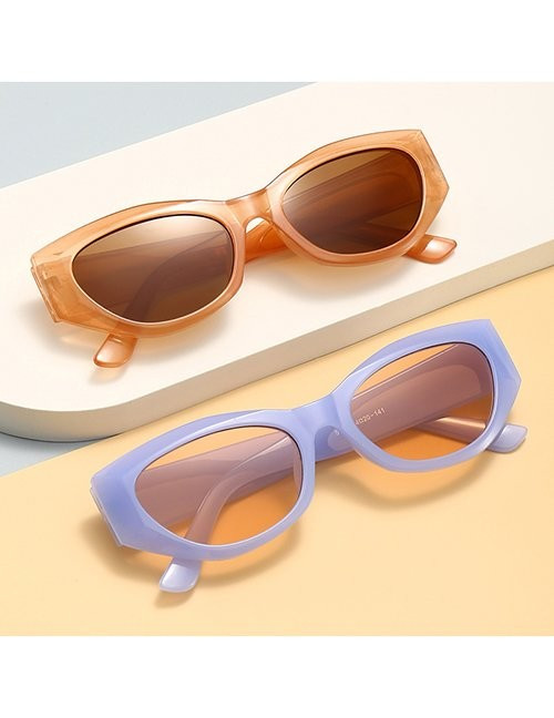 Очки Z11395 Очки Z11395