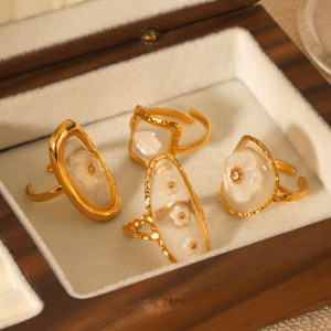 Кольцо сталь CJN93211 Кольцо сталь CJN93211