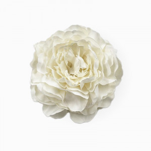 Заколка для волос CJD87417