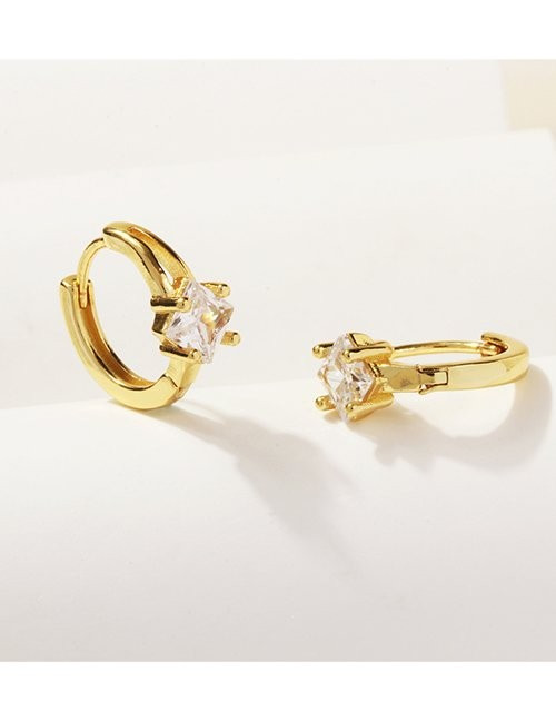 Ювелирные серьги Z98540