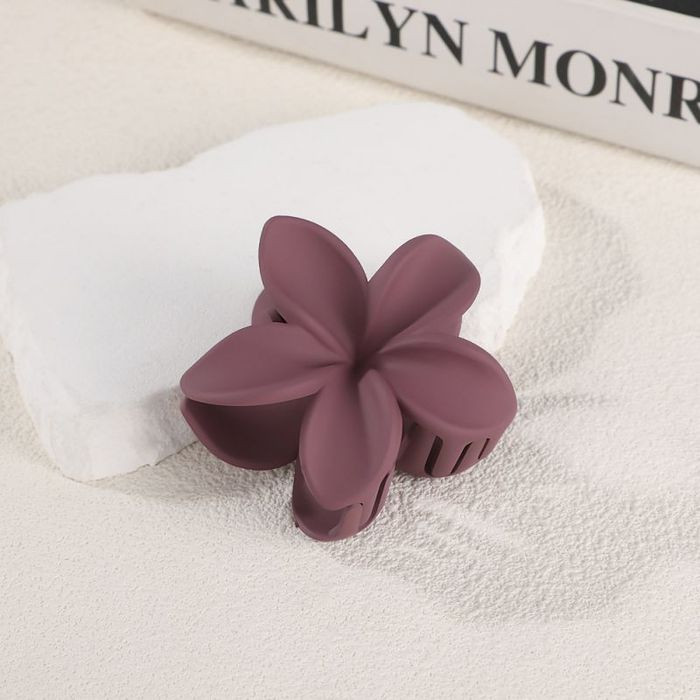 Краб для волос CJM41719