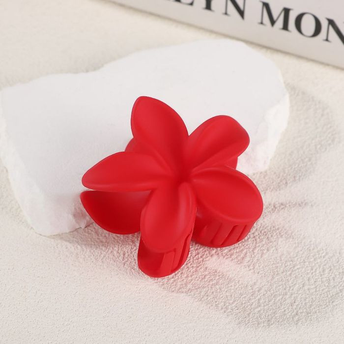 Краб для волос CJM41719