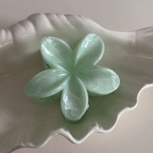 Краб для волос CJL26973