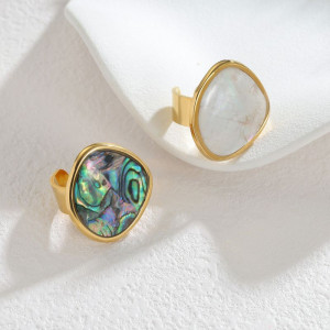 Кольцо сталь CJT01099