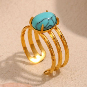 Кольцо сталь CJL49952 Кольцо сталь CJL49952