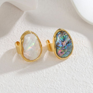 Кольцо сталь CJT01115