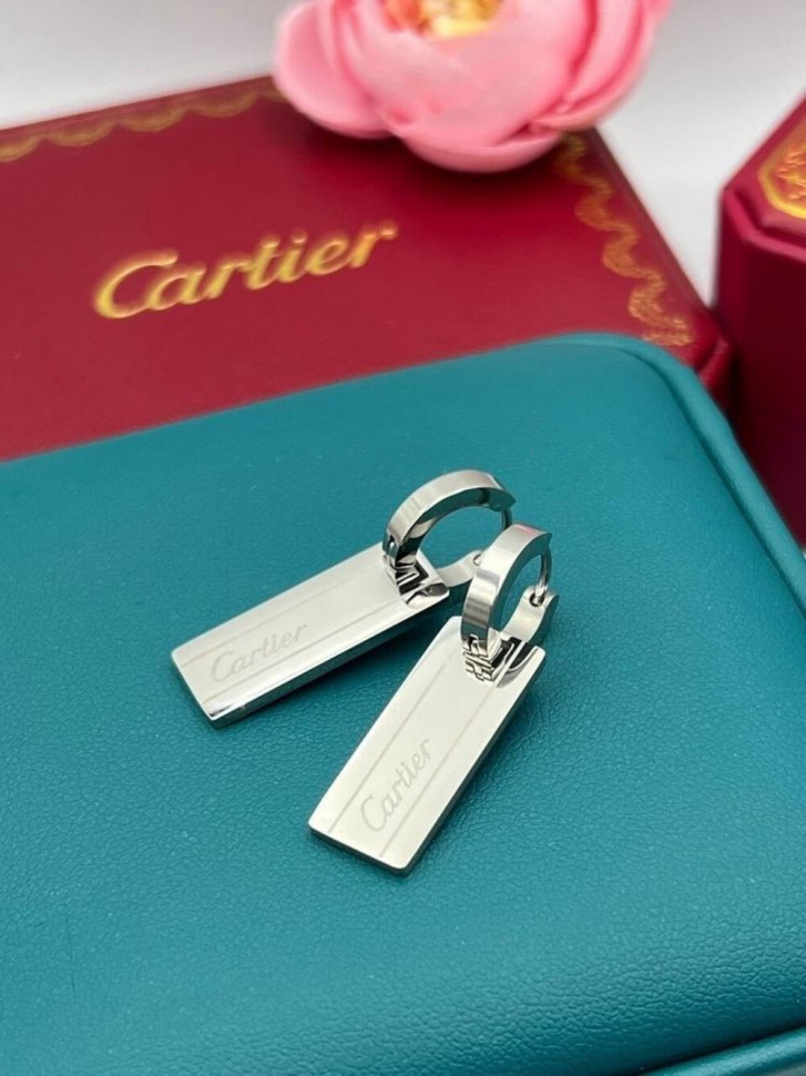 Стальные серьги-пластины в стиле минимализм 1J10894CJJ Стальные серьги-пластины в стиле минимализм 1J10894CJJ