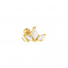 CJG37576