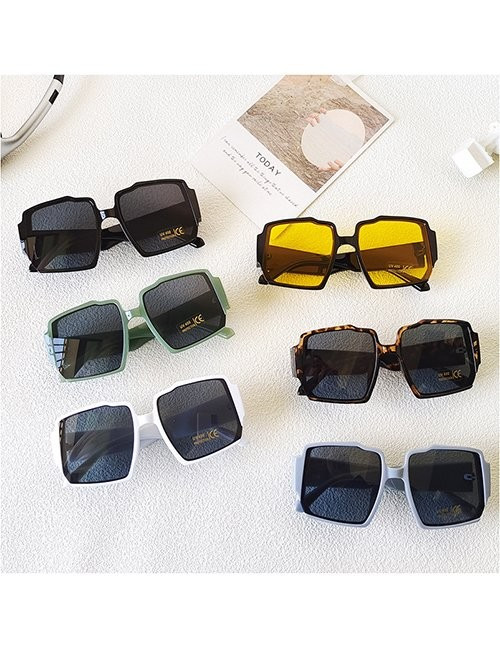 Очки Z62164 Очки Z62164