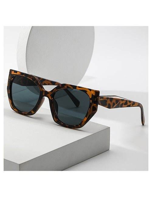 Очки Z10284 Очки Z10284