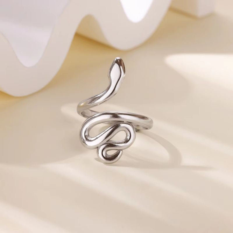 Кольцо сталь CJN82572 Кольцо сталь CJN82572