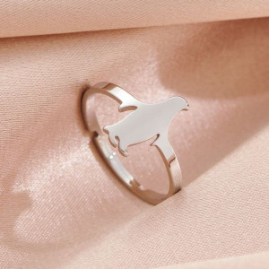 Кольцо сталь CJH89552