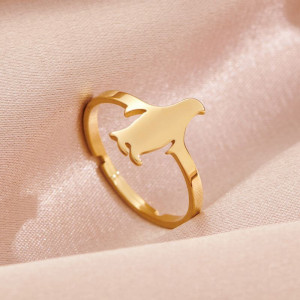 Кольцо сталь CJH89551