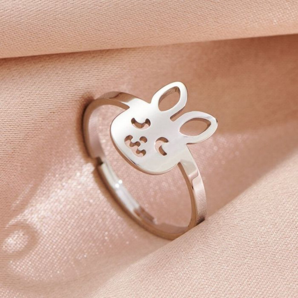 Кольцо сталь CJH89538 Кольцо сталь CJH89538