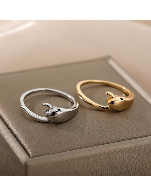 Ювелирное кольцо R71119 Ювелирное кольцо R71119