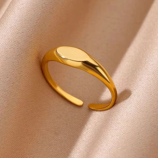 Кольцо сталь CJL47087 Кольцо сталь CJL47087