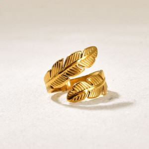 Кольцо сталь CJQ17667 Кольцо сталь CJQ17667