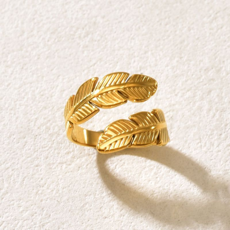 Кольцо сталь CJQ17667 Кольцо сталь CJQ17667