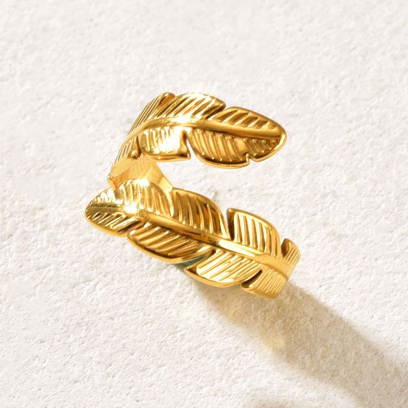 Кольцо сталь CJQ17667 Кольцо сталь CJQ17667