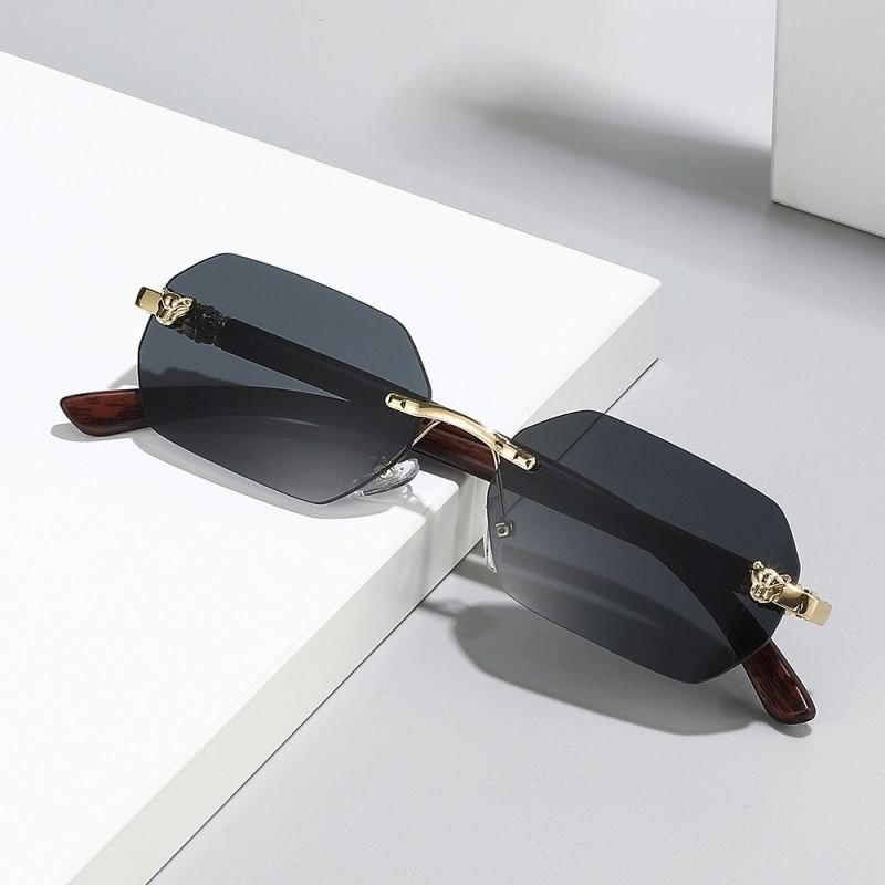 Очки CJD78077 Очки CJD78077