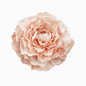 Заколка для волос CJD87425