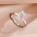 Серебристое кольцо с кошачьей лапкой из стали CJH89494