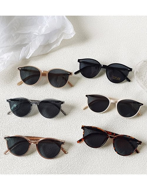 Очки Z62183 Очки Z62183